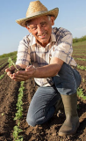 Avatar de Usuario