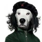 Avatar de Usuario