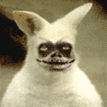 Avatar de Usuario